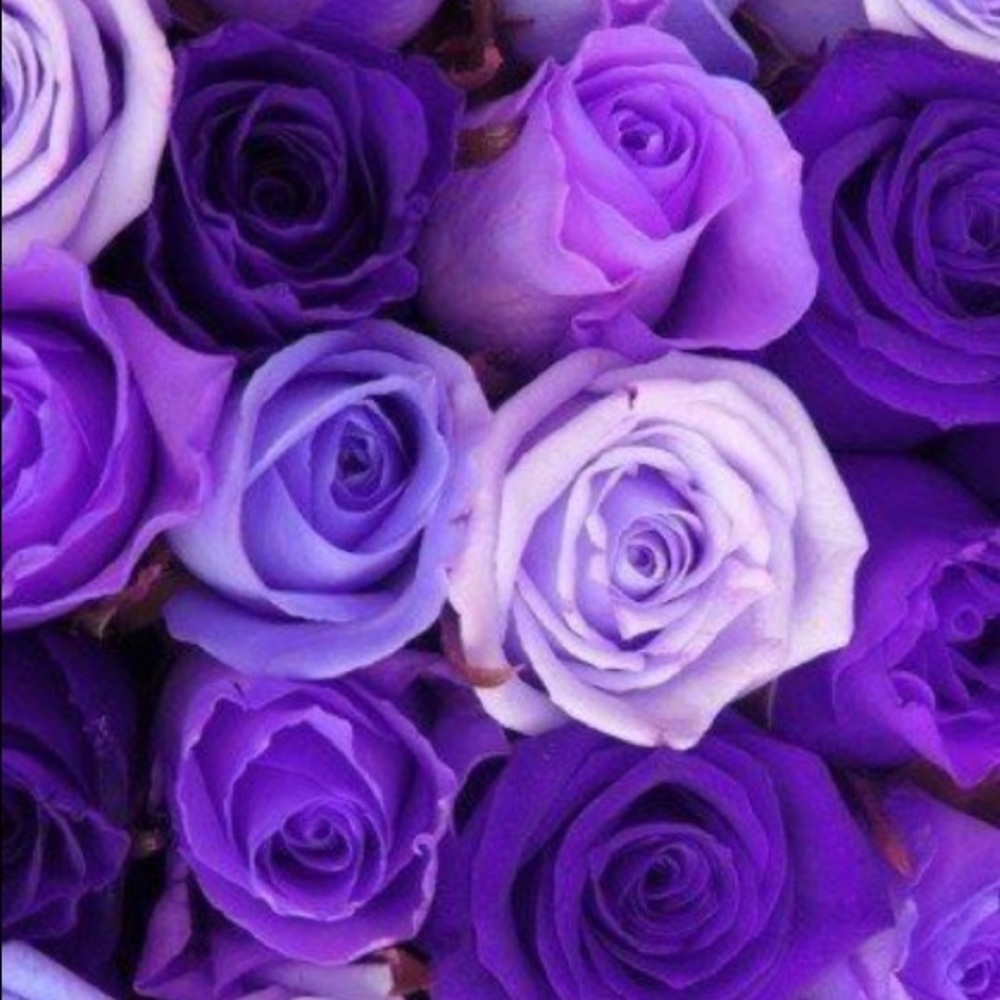 Meet your Posh Ambassador, Kristin